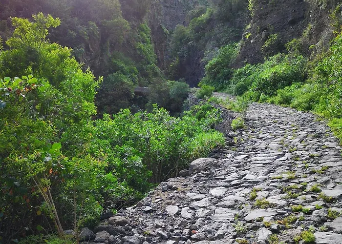 Apartment Biltmore Relax House *